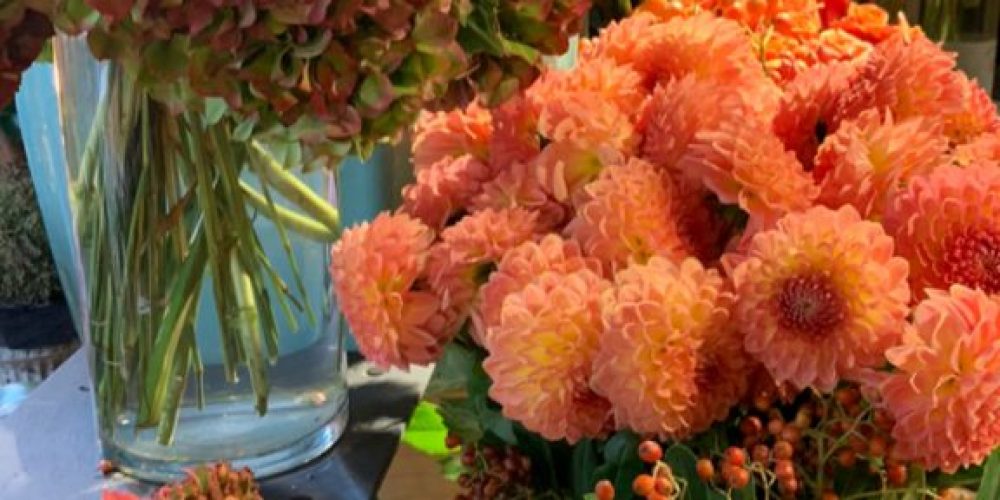Fleurs-dautomne-saint-maur-des-fosses-1-576x1024