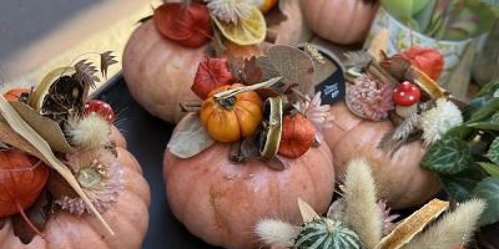 composition-automne-parc-fleuri