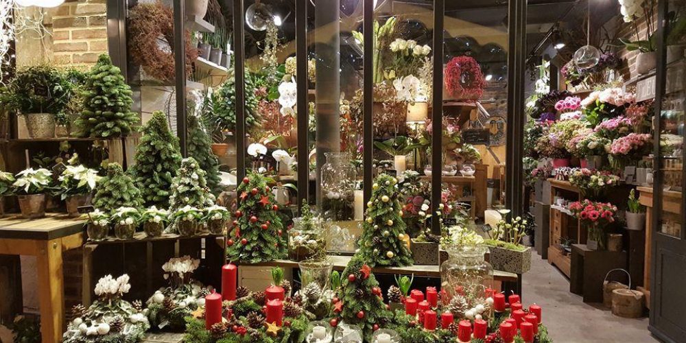 compositions-noel-parc-fleuri