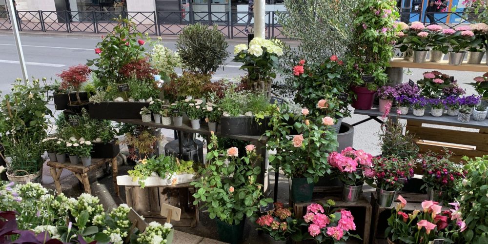 fete-des-peres-le-parc-fleuri-1 (1)