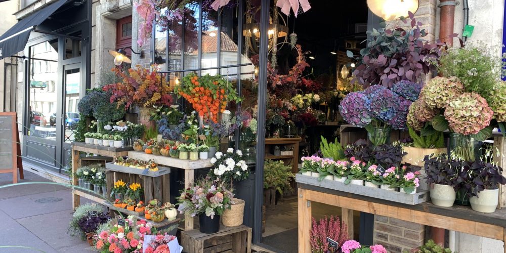 fleuriste-le-parc-fleuri-25_1