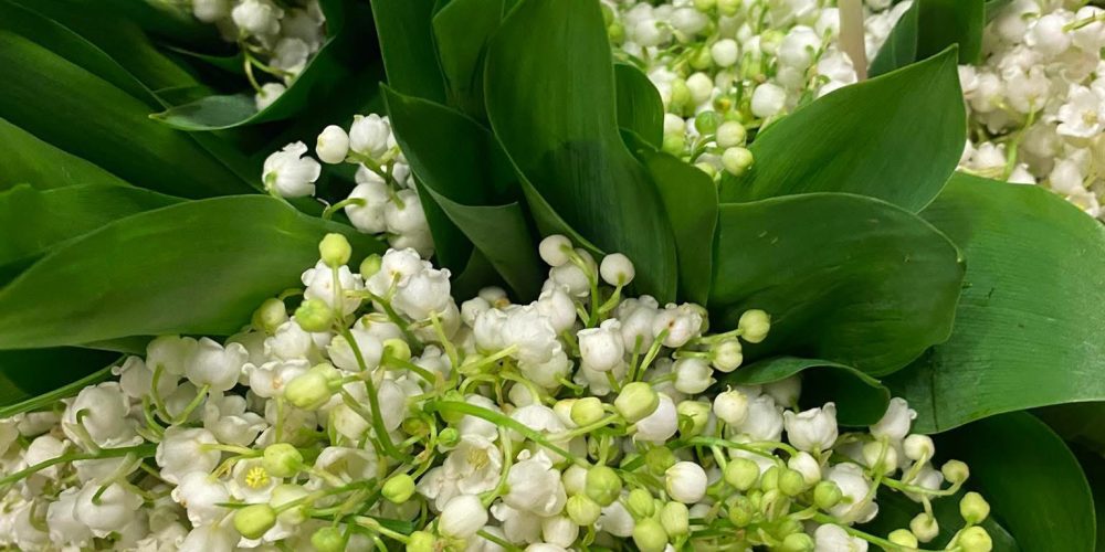 offrir-muguet-artisanal-le-parc-fleuri
