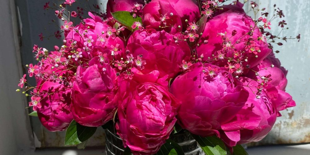 pivoine-parc-fleuri-scaled